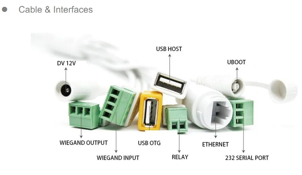Face Recognition in Mask Temperature Measurement Terminal Advantages 5